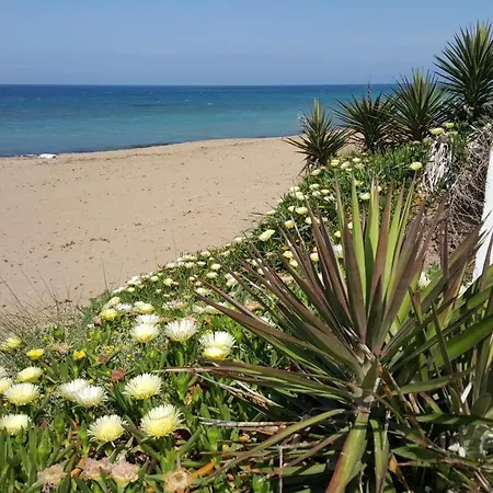Camino Del Vasco Dénia