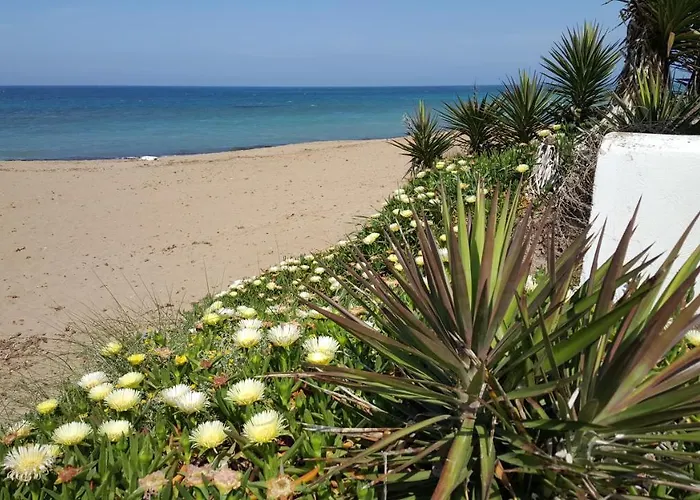 Camino Del Vasco Denia